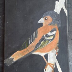 Detailed painting of a chaffinch perched on a branch against a black background